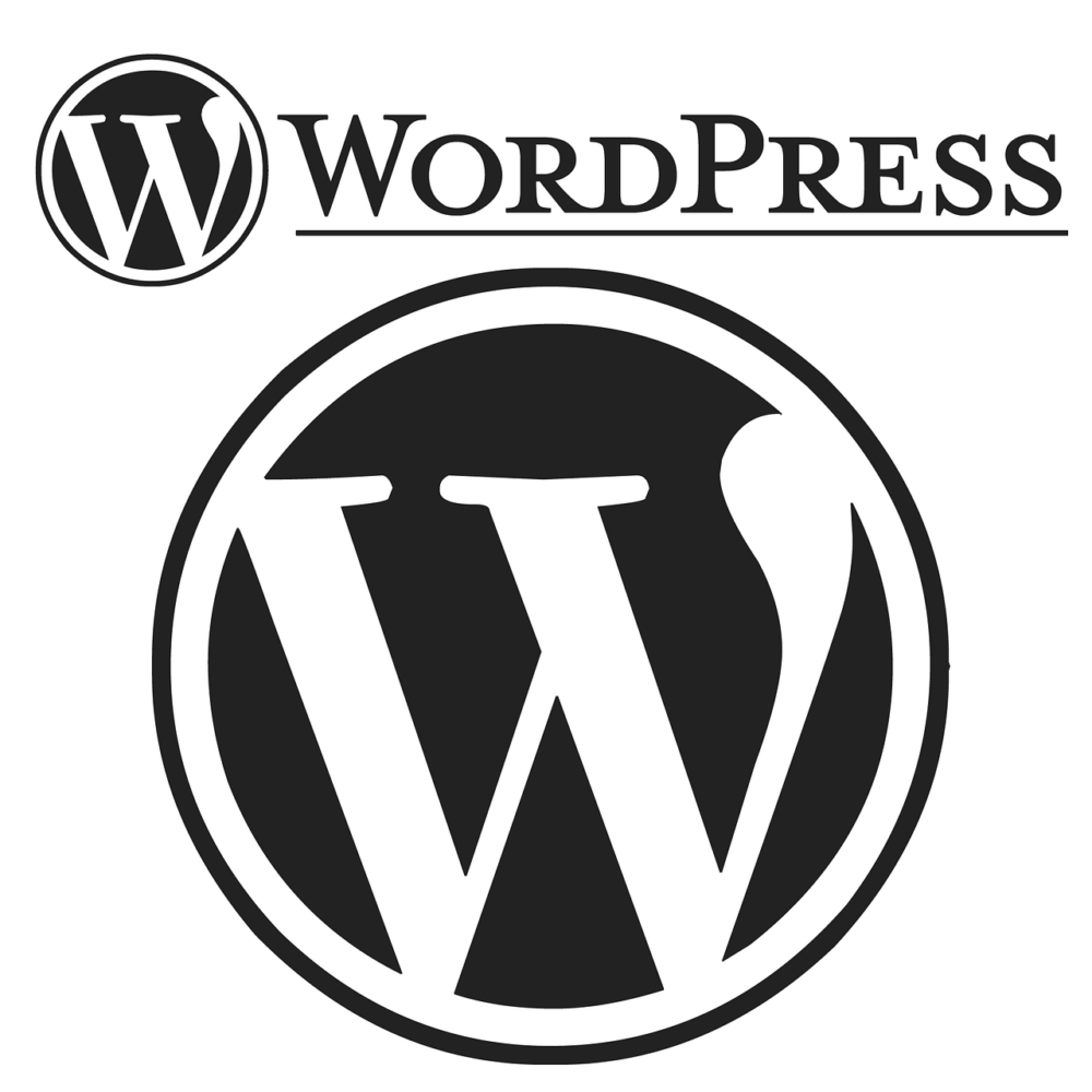 The Benefits of Professional WordPress Development for Your Business